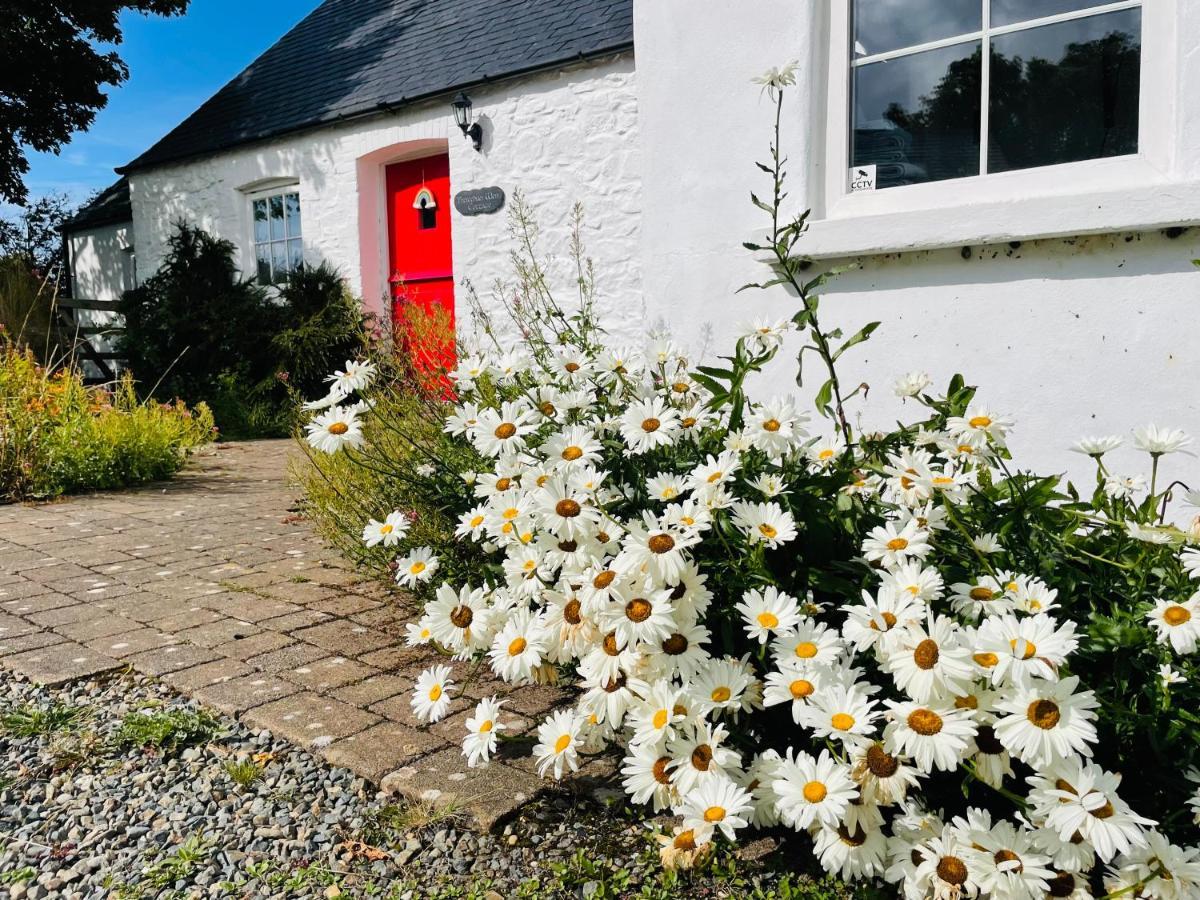 The Dairy @ Trefechan Wen Goodwick Exterior foto